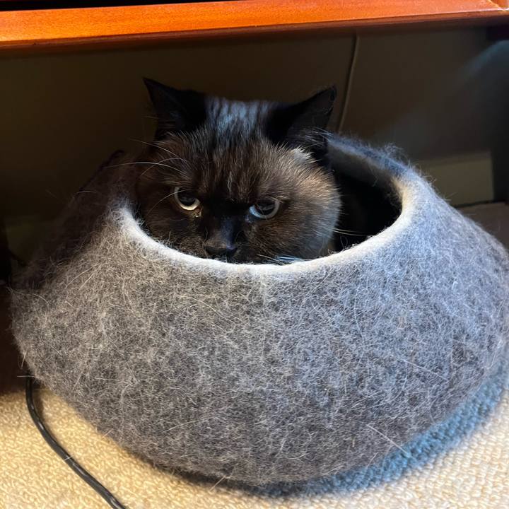 77276c2f 32eb 4d62 be93 da604074a49d 1669179578554