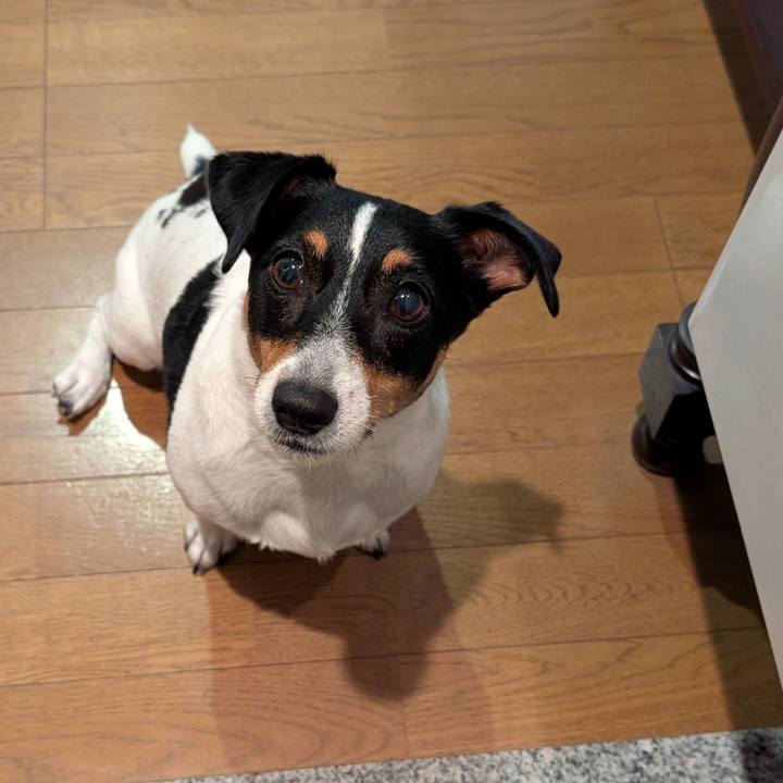 7727ceda 4263 4b3c b06a c2e0e9f2c2ee 1754890079258