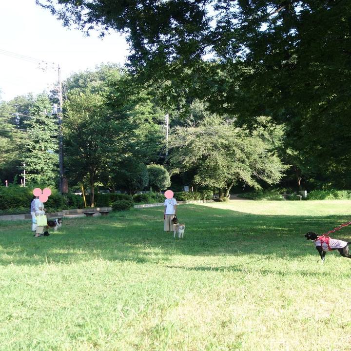 7727f0aa cdbe 4239 a699 ad69bbdc4d55 1597103893729