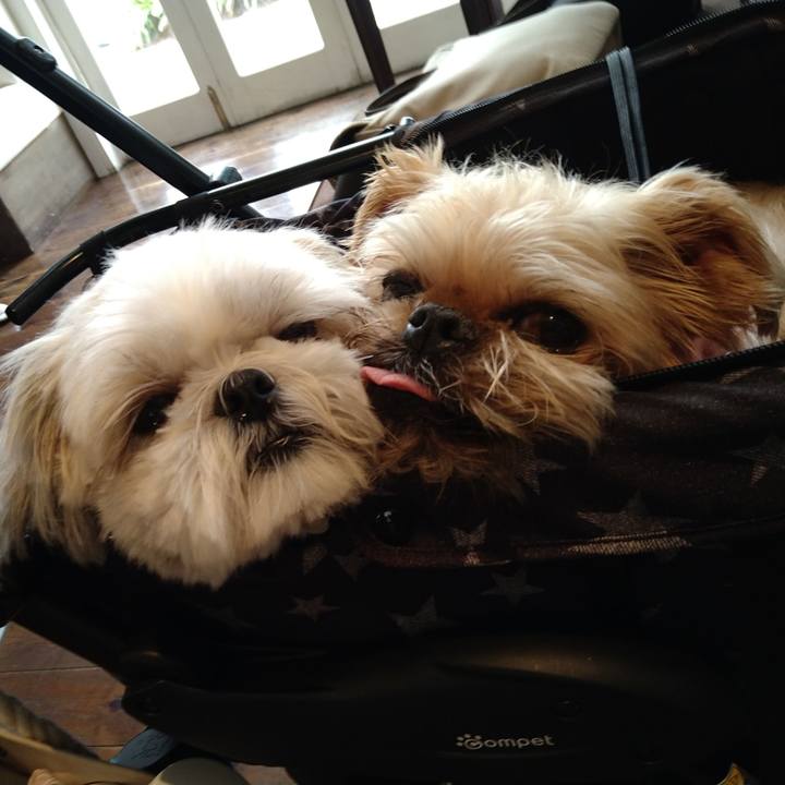 7727f108 bb22 4580 a4f7 92718c1af361 1660475281926