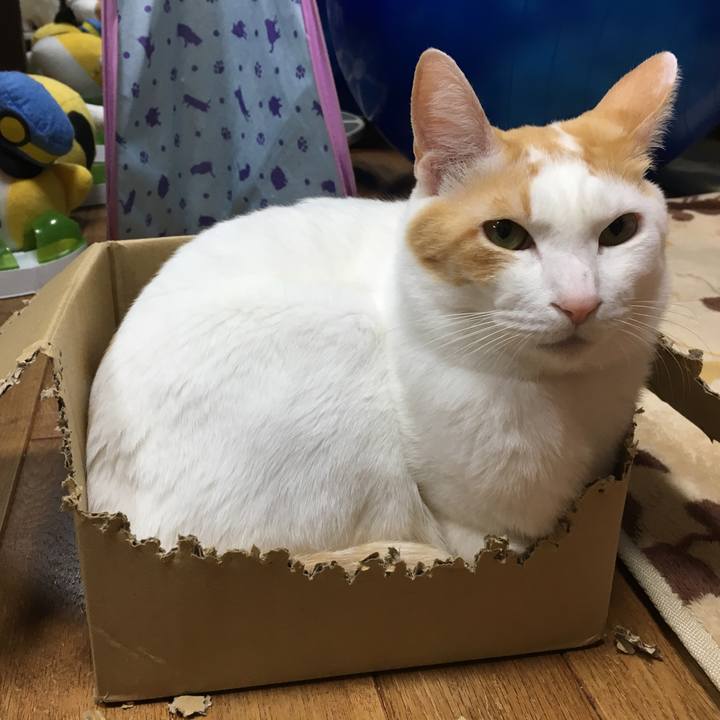 772853cc 7a17 4794 9ac4 92d6556500f4 1513251210207