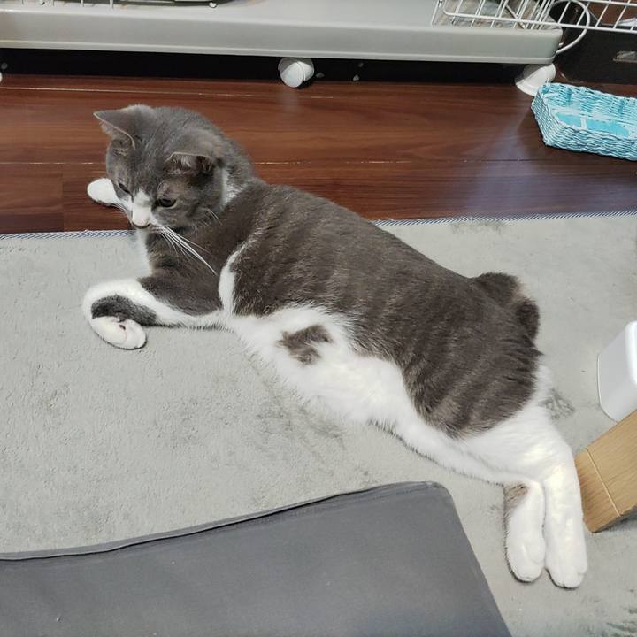 77287495 75fd 4155 ad73 d9bbada0fb1a 1657972417658