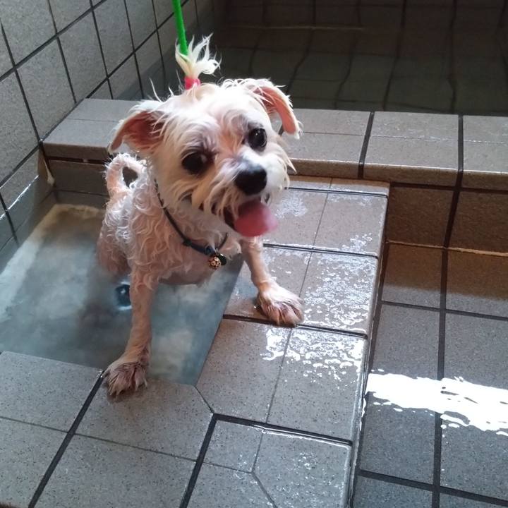 772874a7 76b7 4a9b 86e6 d84411a20780 1755037929025