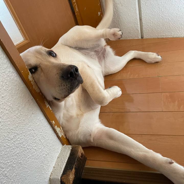 77288077 4cfd 4c0c 83cf 03b2749c3246 1641973195294