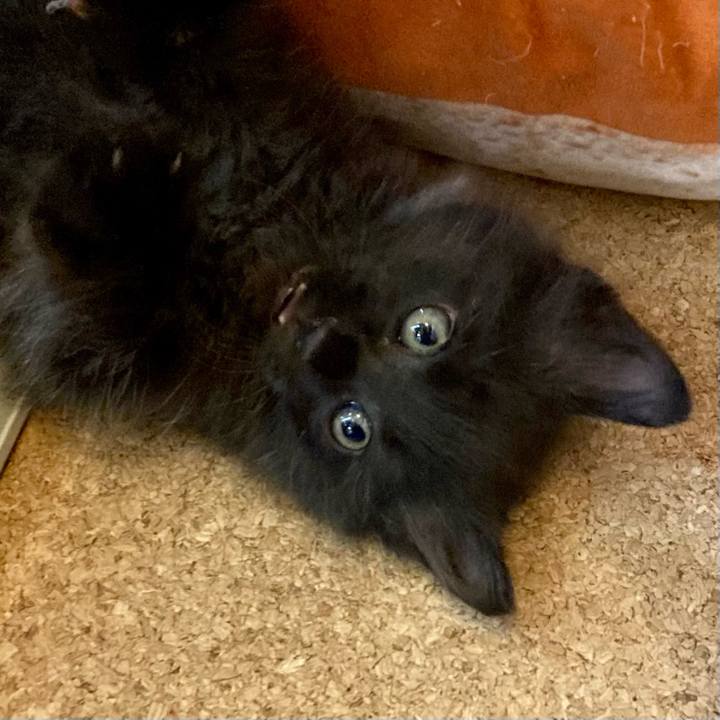 77289361 51b7 44fa 9d6a 0685309d169c 1698218174218