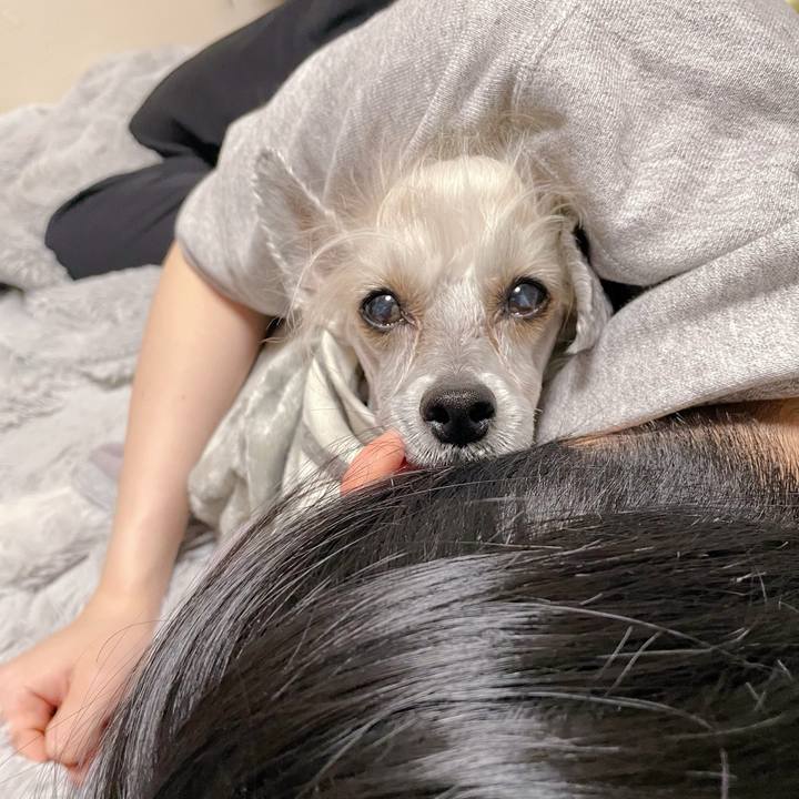 7728c59c bd8b 444d a859 e079ad39e591 1774002158030