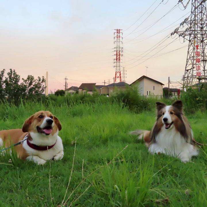 7728d6ee f0aa 4128 9aba ca26885a9fc7 1627953560209