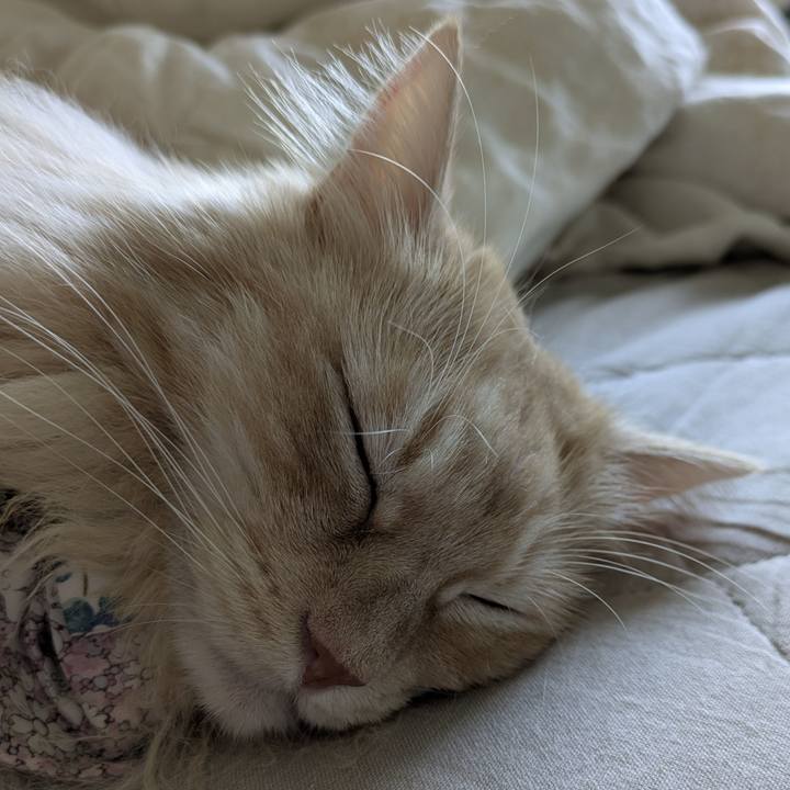 7728dd34 39d8 449d 96d2 14b547b2f9ab 1754446904594