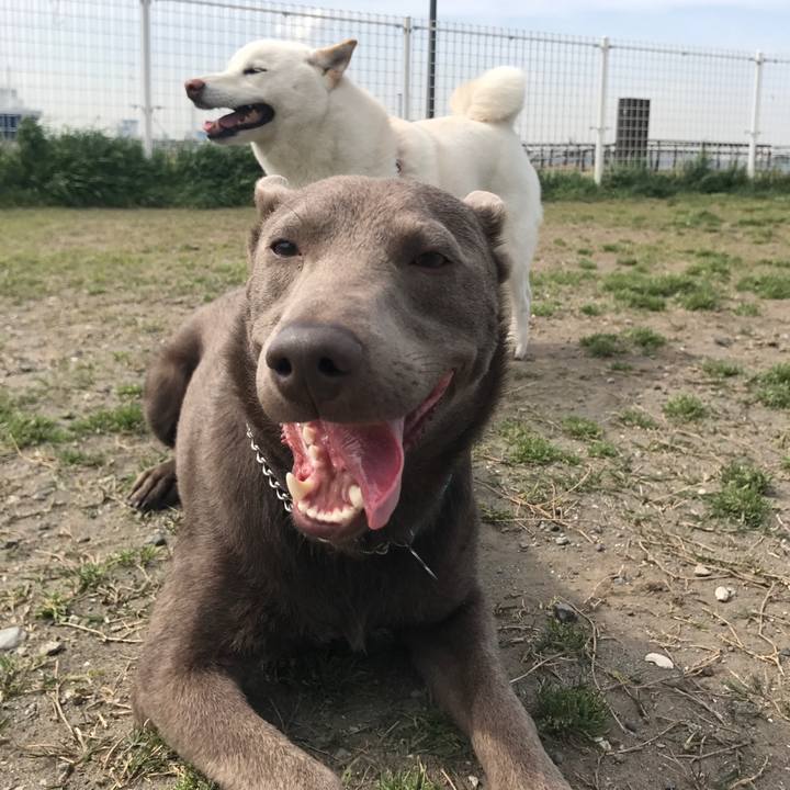 7728e3d5 809c 4e1c bd6b 8e9bd437fa4c 1523516235326