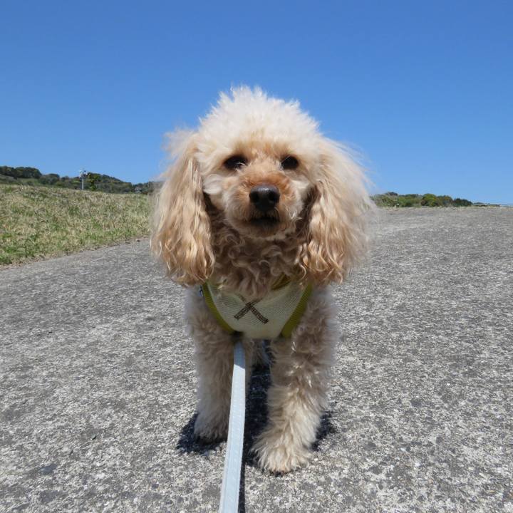 7728e69f 14ad 4bcb 910b 3d65f33776f2 1649332977776