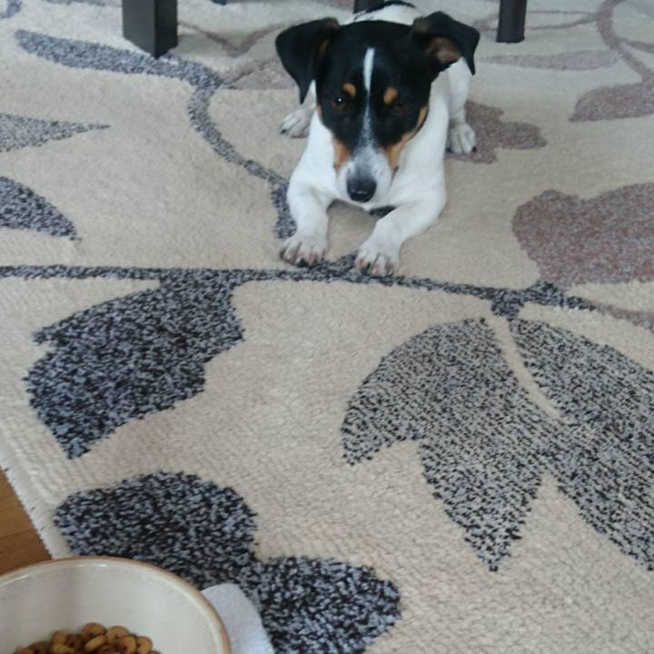 7728fe17 bdb6 475e b5d0 e69966c2bbed 1559261848182