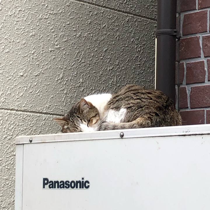 7728fecb 31b2 4d89 866e bdcc65af9c1d 1555679077514