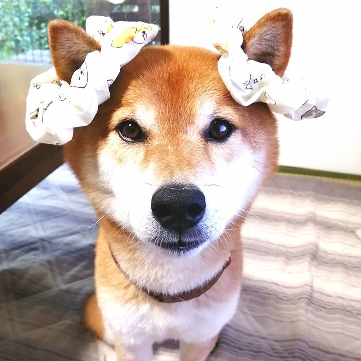 7729086b cbc3 46ee b9b9 f1b4bbd7a112 1656404386120