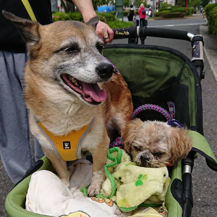 772924e7 4629 4dc2 8455 e6ad88f0e408 1538057926270