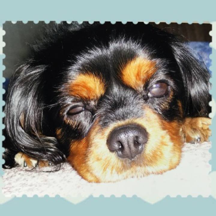 77297332 b1b5 41ae 9a01 15bd93c1c23e 1509635044474