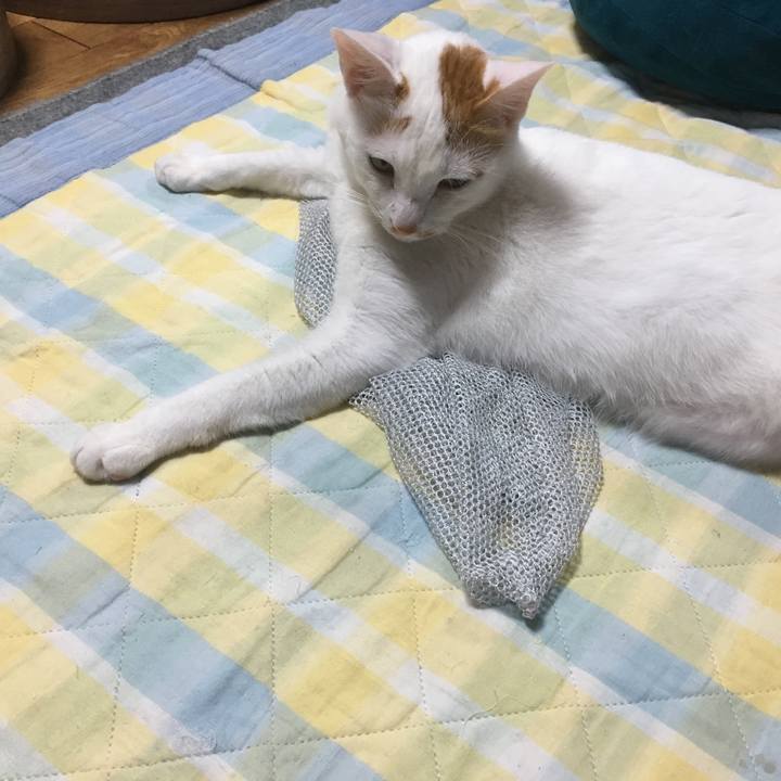 7729ddb2 417f 4623 bb3a a0b6e2defa84 1528816420114