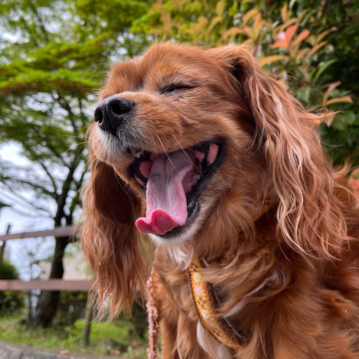 772a26a0 ce40 4b79 9ec9 0beb0565cd77 1684102015111