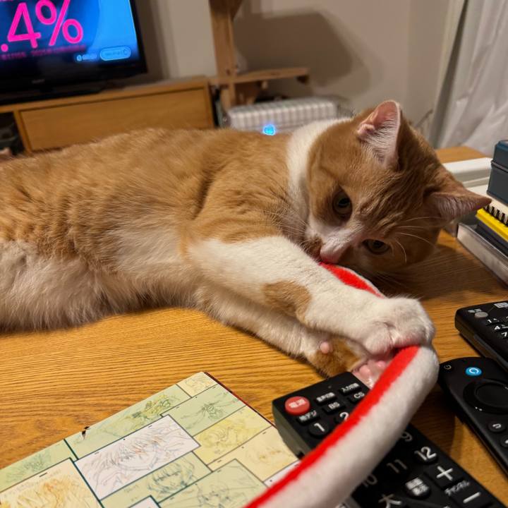 772a6959 004f 4826 90d0 e33c25c9371d 1766825789812