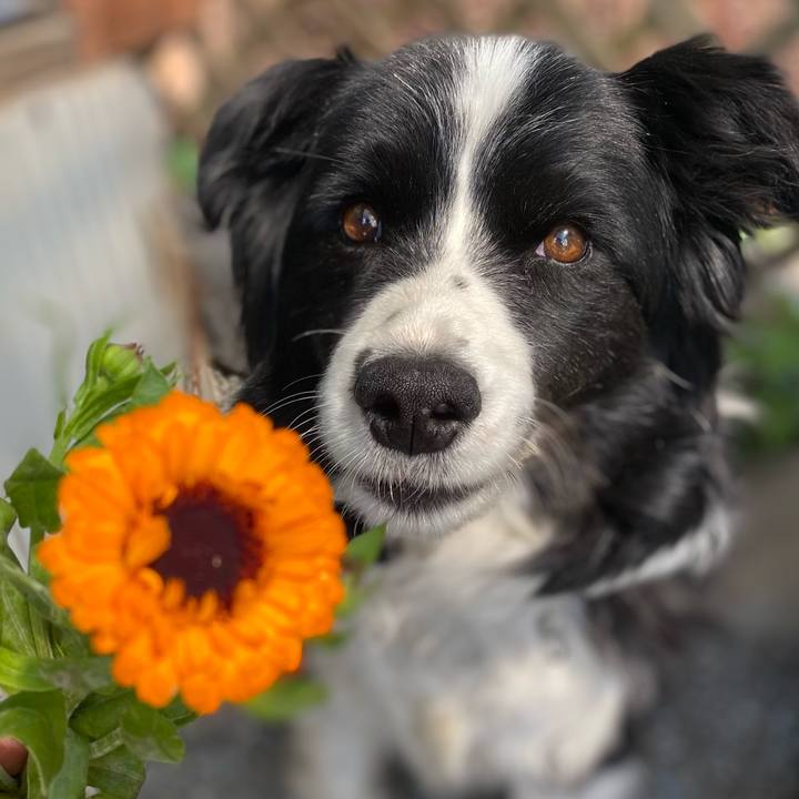 772a76cb 0e6d 4c6d 80c8 d5281b6fe4fb 1620265077160