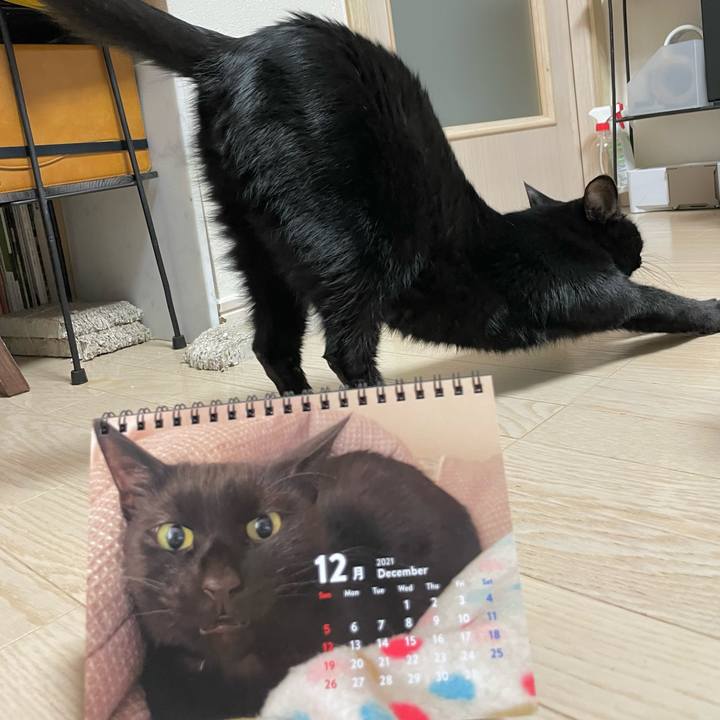 772adcfb f9c9 4052 bdcb efbaf0a34e02 1640349506563