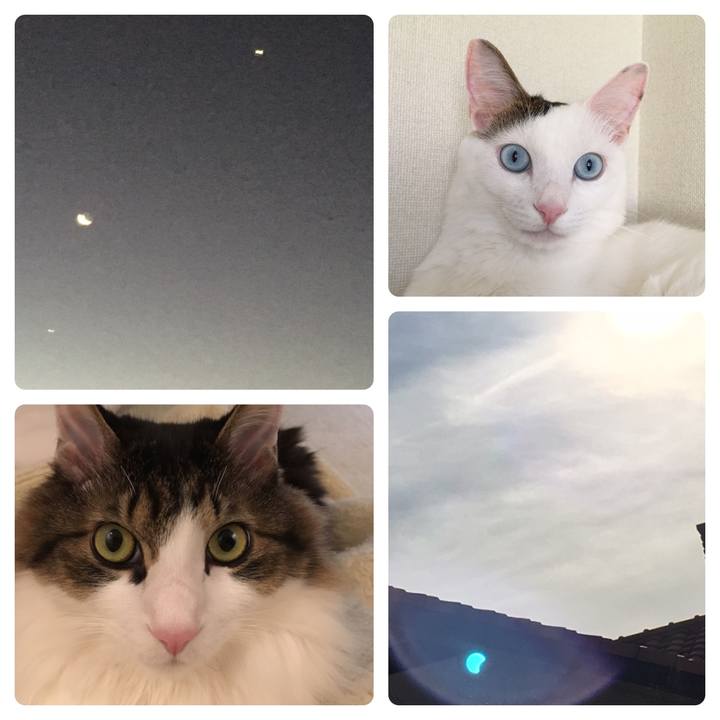 772aec13 ead3 4b17 9732 2791bd2d4de4 1546749751761