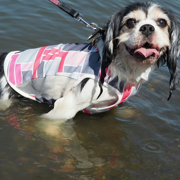 772b17bf 791f 4c1b af35 ac6e2708e4f2 1535178297070