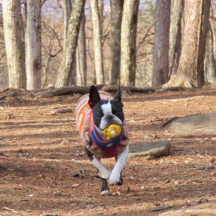 772b3dcd 9e23 46fd 8ce7 c6baed10ae4b 1680757353868