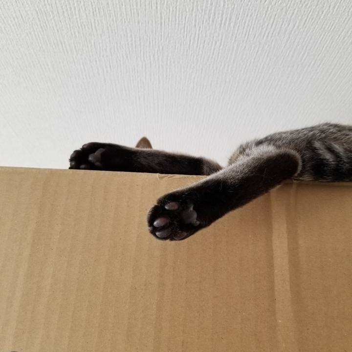 772b5ef9 01a9 4f18 9ffd 9eb77076f91c 1676641248255