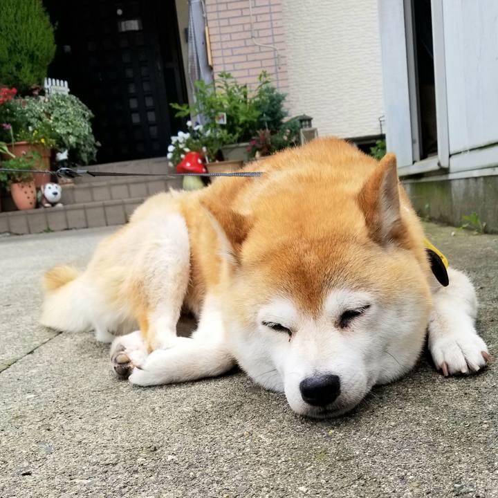 772bb1d1 1e26 4751 9180 fa4e19389d0d 1593913028579