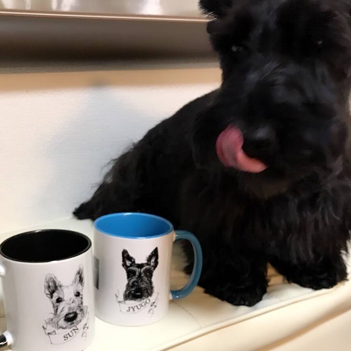 772c1581 792f 4c57 a679 3018221e6a46 1542891360726