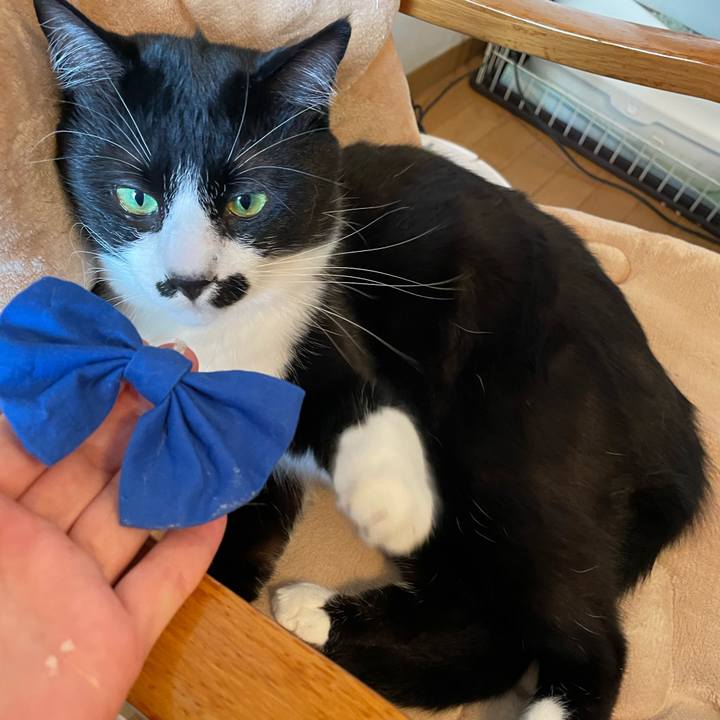 772c406f 2709 4ef0 9a55 80007de3b11d 1650677197999