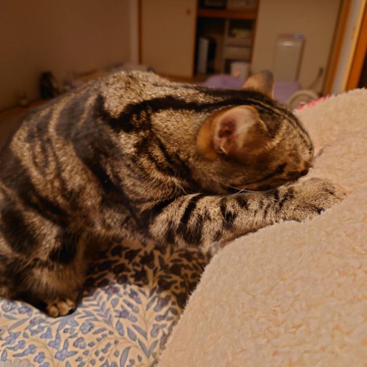 772c55df 4f78 449a ae2d bcd68f2245c6 1640694290702