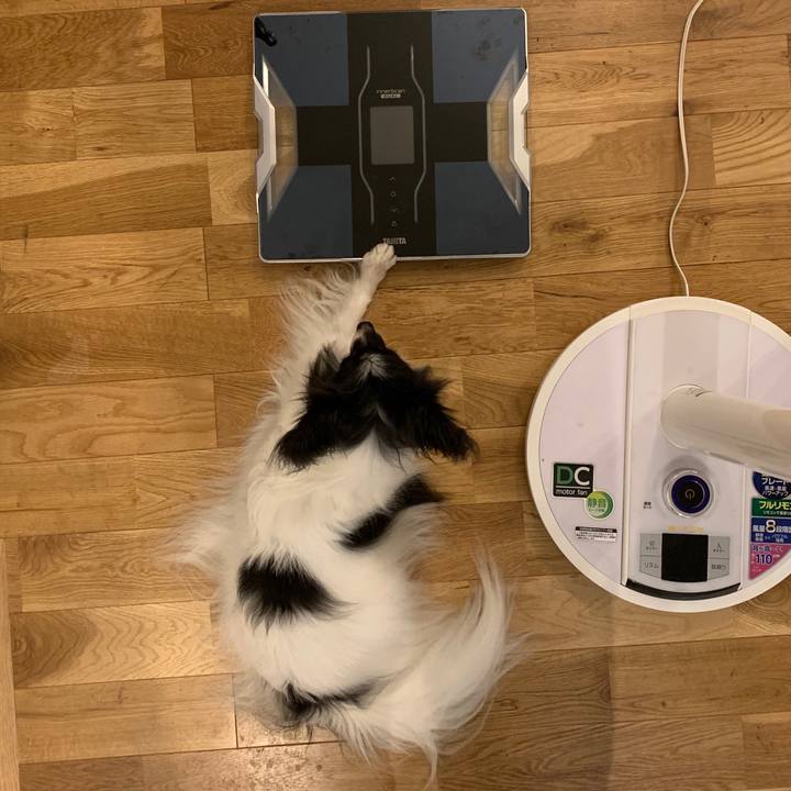 772c77a2 9809 4aee 8e6a d1469a75ace4 1544102770500