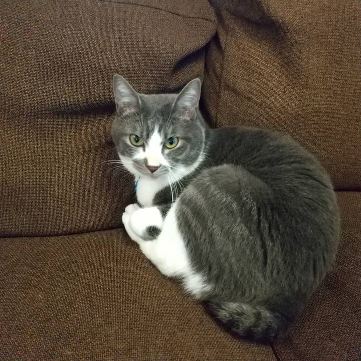 772c7ae7 1c3d 49a9 8eda 080086b48f1f 1608072734005