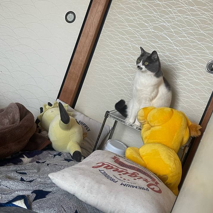 772c8199 2d52 425e 80bb 887604232419 1708775925865