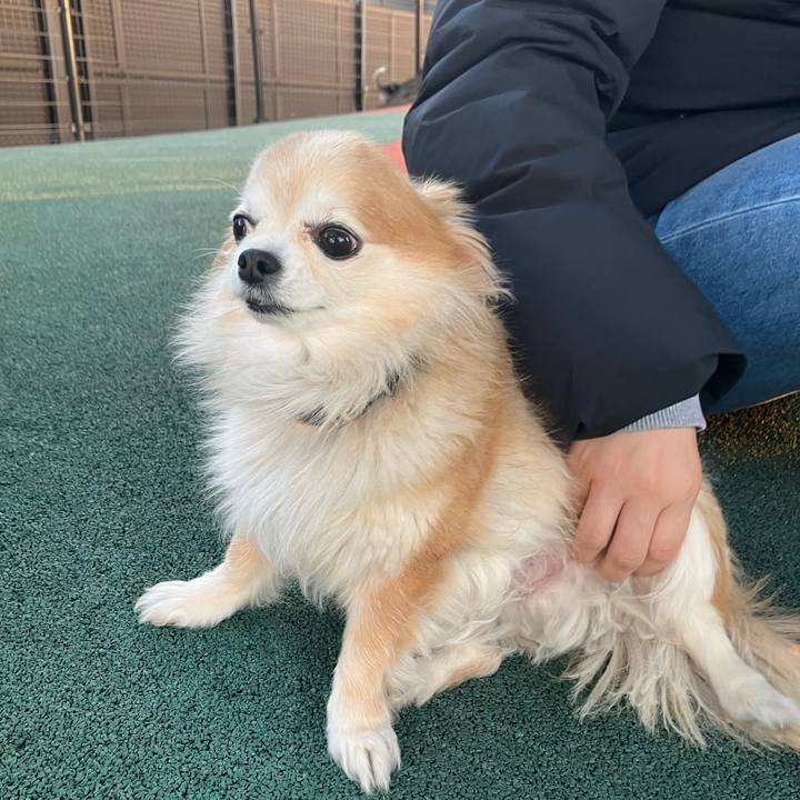 772cb4c1 acc2 4820 bbdd 50ede53f6d29 1771072242668