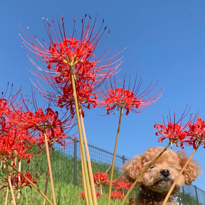 772cbf5f 73dc 4806 bd67 dae68a2cfca1 1759205032097