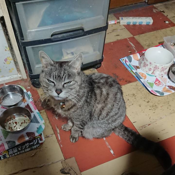 772ccfb9 250c 4a9e 8042 9ccecfea016d 1587931001453