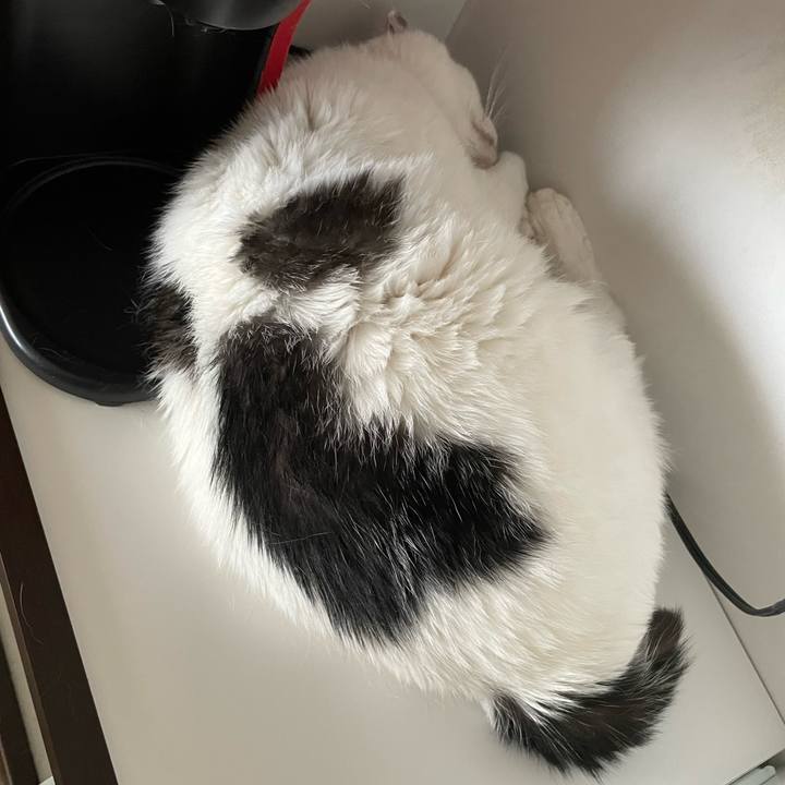 772ce0a2 dd7f 4e32 a408 79888503c8c8 1658978953783