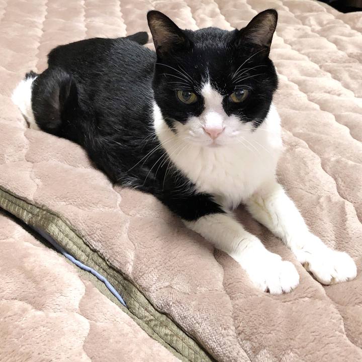 772cfb04 007a 487f a351 15bc0164b3d2 1574203049863