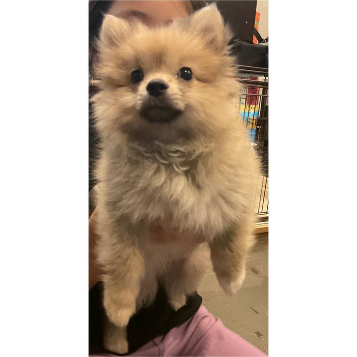 772d5f88 d641 48b0 94d9 6eb6b08c5681 1755655150713