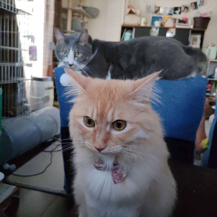 772d6e0a 699c 4918 953d 3bc40481a5d5 1689582275539