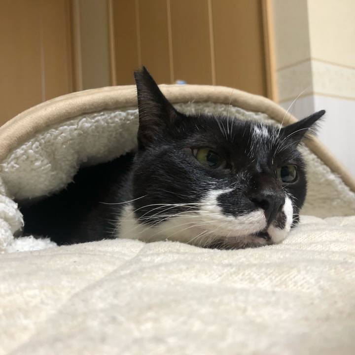 772d6edc 3ff4 4b69 a7fb 8ca16004bee3 1601741309884