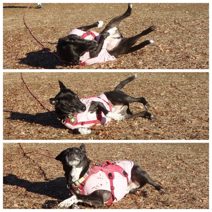 772da891 2bd1 4d77 afcc ddbe73e64ecf 1703122793072