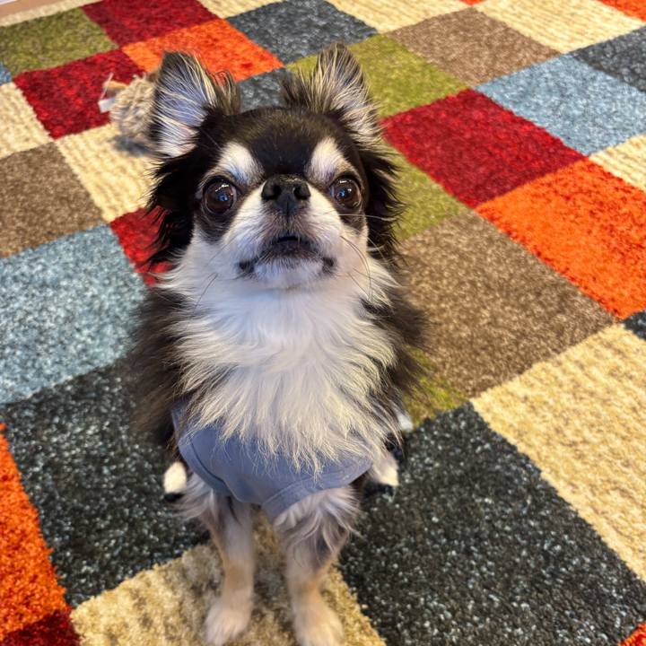 772db24d 6978 4451 9b44 b838da1126b6 1745943667819