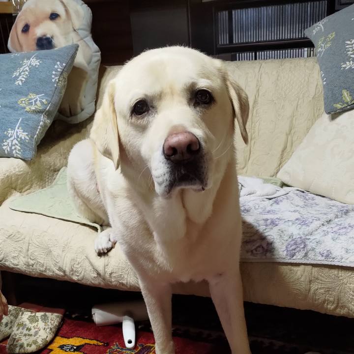 772db6fe 9164 4b30 8c53 da782039ac74 1690691565875