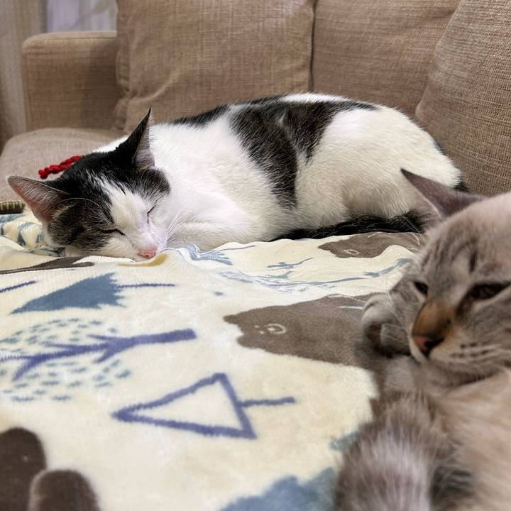 772dc931 d401 4e27 8292 02ef6ebb963a 1732542344576