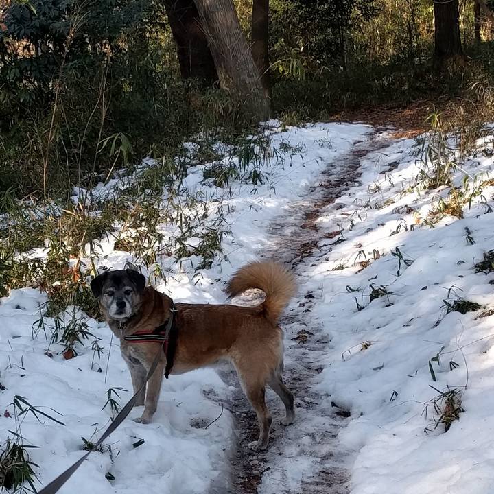 772dd72e 37f9 4f3d a6d3 ddadc3eb63de 1517359992696