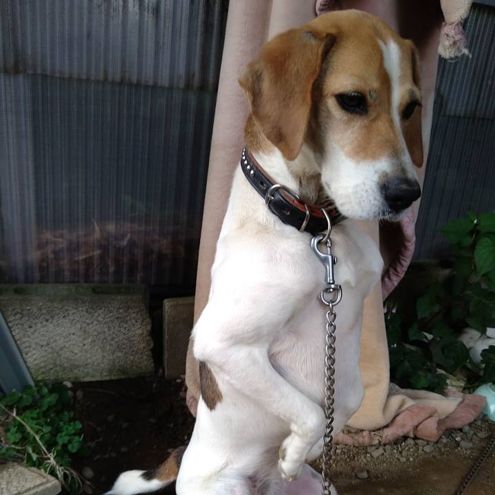 772e086e 5797 45a3 91e1 3a3630182d89 1661429237797