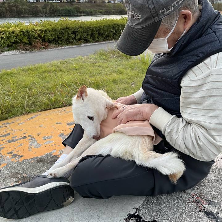 772e1486 ded4 4c4e 8ae7 6f56e4a9f49c 1669806070428